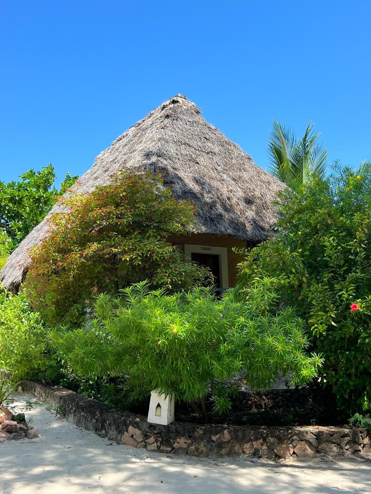 Ujamaa Beach Resort Makunduchi Zewnętrze zdjęcie