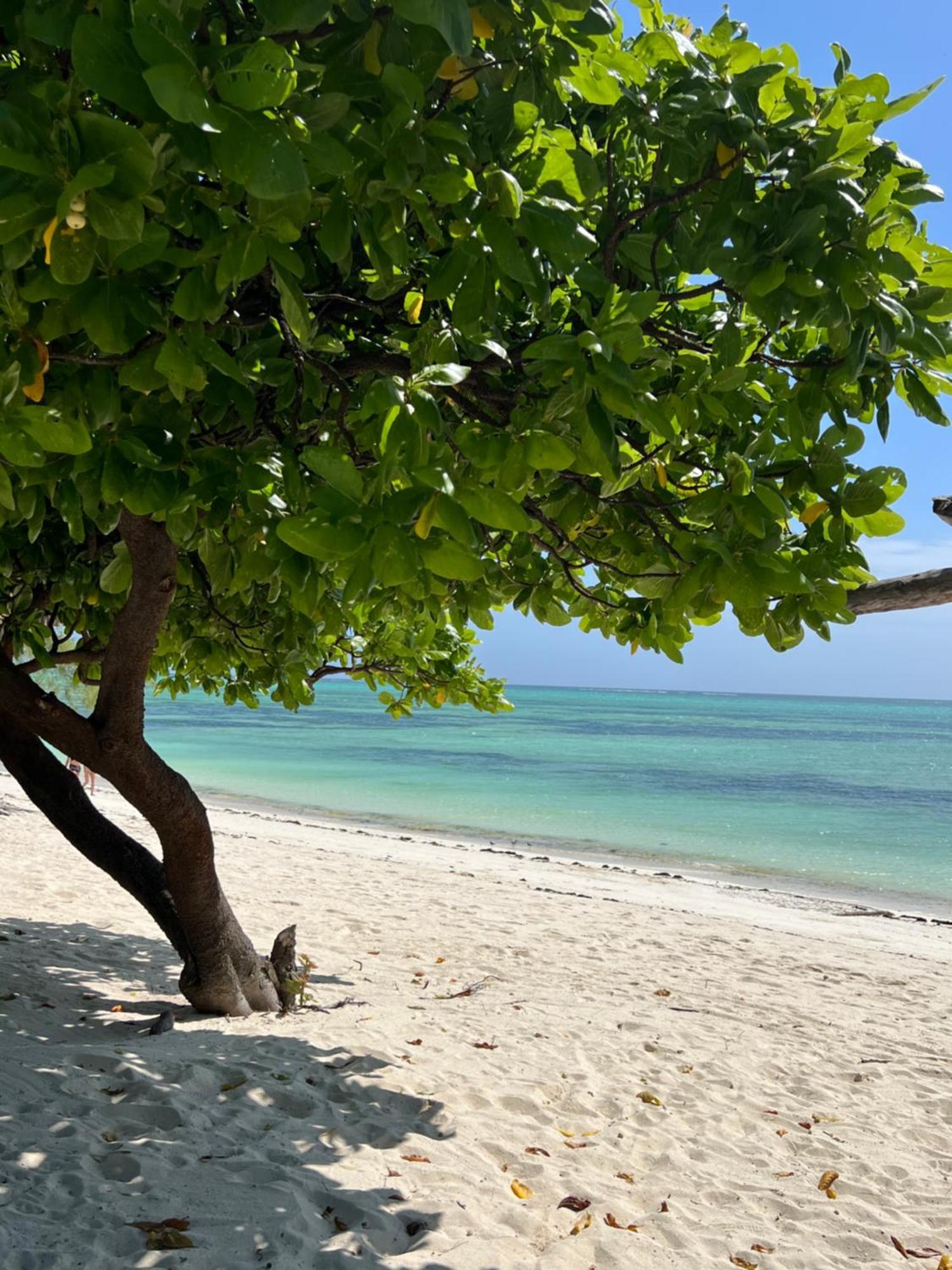 Ujamaa Beach Resort Makunduchi Zewnętrze zdjęcie
